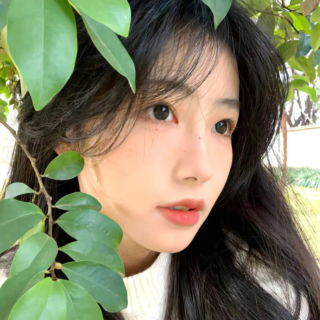 美人鱼